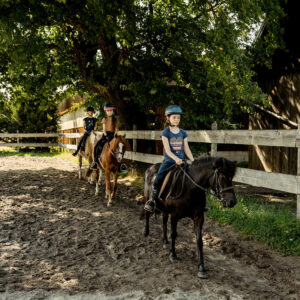 Scheuelberghof Ferienkurs reiten