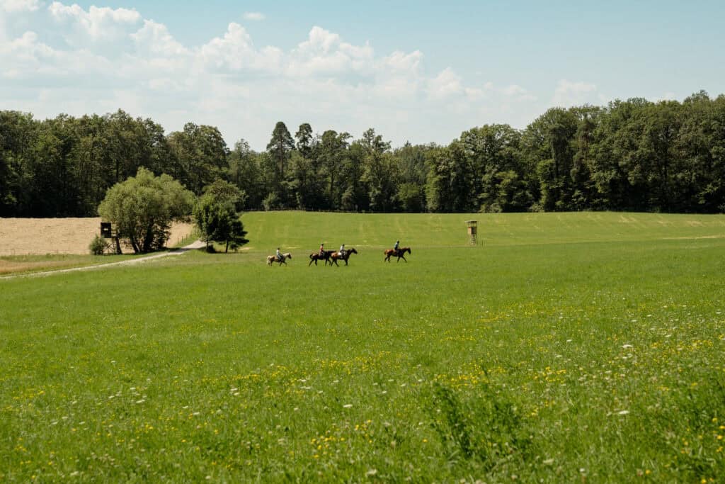Geführte Ausritte in Maulbronn