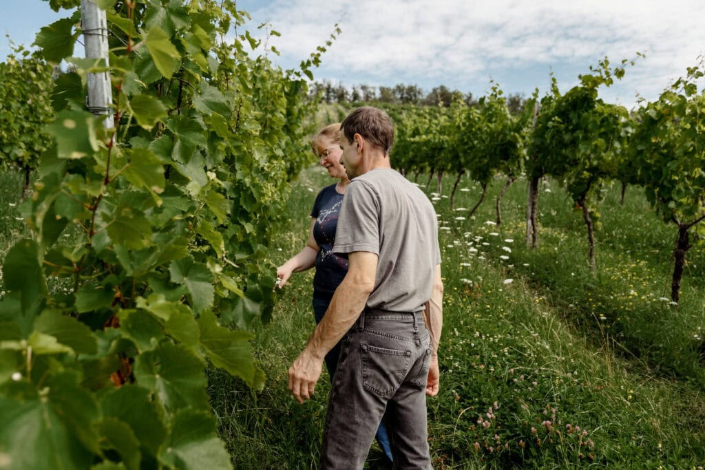 Scheuelberghof Ferienwohnung Maulbronn Weinanbau klösterlicher Weinberg