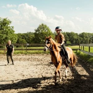 Scheuelberghof Maulbronn Reitstunden