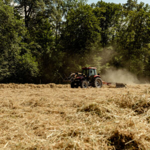 Scheuelberghof Maulbronn Landwirtschaft Heu machen