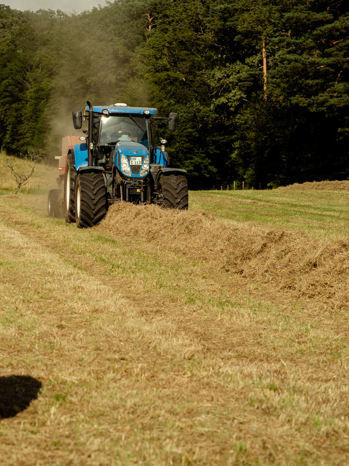 Scheuelberghof Maulbronn Landwirtschaft